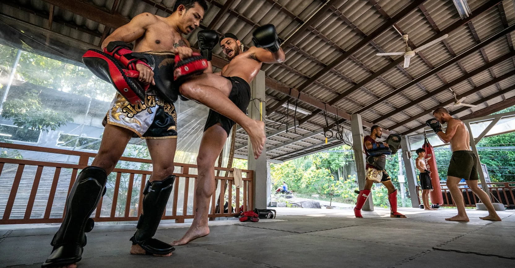 Muay Thai visual data 3